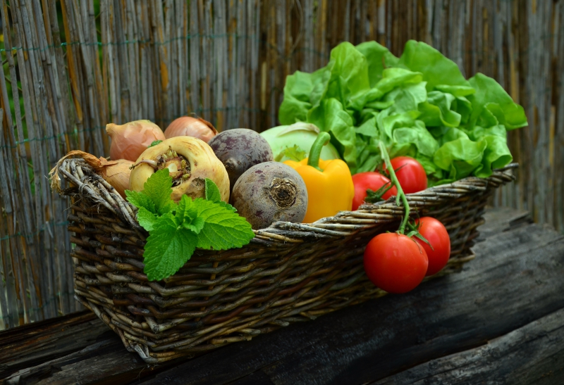 traiteur-LE CASTELLET-min_plant-fruit-food-salad-harvest-produce-879579-pxhere.com